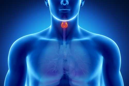 щитовидная железа: 8 вещей в вашем доме, которые влияют на состояние